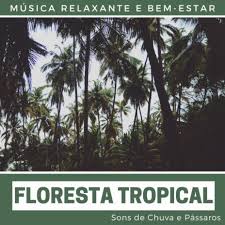 Relaxar para reconciliar o sono profundo, relaxar e cair no sono naturalmente, para dormir rápido e relaxar profundamente, música relaxante para dormir, top tracks: Musica Relaxante By Bernardo Miguel Floresta Boomplay Music
