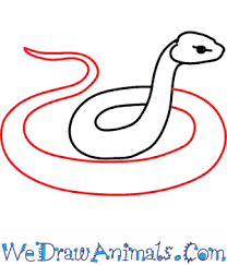 Make an arch at the side of the head. How To Draw A Rattlesnake Step By Step Tutorial