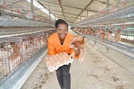 Maybe you would like to learn more about one of these? Chasing The Marathon Chicken The Namibian