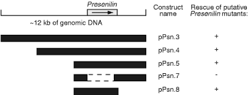 What is the name of the alternate world where you can travel to? Neurogenic Phenotypes And Altered Notch Processing In Drosophila Presenilin Mutants Nature