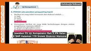 Maybe you would like to learn more about one of these? Jawaban Pg Uji Kompetensi Bab 9 Ipa Kelas 8 Smp Halaman 110 Sistem Ekskresi Manusia Youtube