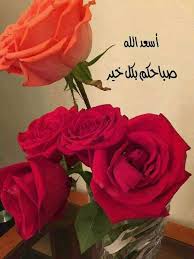 Pin By وردة الياسمين On صباح الخير Good Morning Arabic Good Morning Flowers Good Morning Sunshine