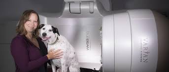 You can save your pet from cancer! Give Uc Davis Canine Cancer Research Fund