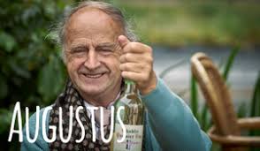 Het geheime dagboek van Hendrik Groen