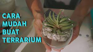 Cara membuat terarium dan perlengkapannya. Cara Membuat Terrarium Mini Nan Cantik Youtube