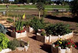 Check spelling or type a new query. Cedar Raised Garden Bed Kits Are Great For Vegetable Gardening Flower Beds Landscaping Ideas