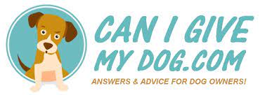 Is Quinoa Healthy For Dogs Any Downsides Best Advice