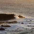 Waarom Is Zeewater Zout Dier En Natuur Natuur