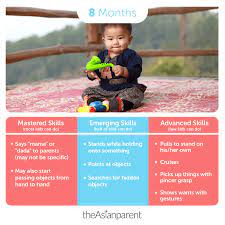 Join enfamil® family beginnings today 8 Month Old Baby Development And Milestones Guide For Parents