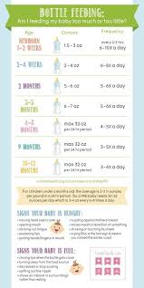 Bottle Feeding Am I Feeding My Baby Too Much Or Too Little Baby Information Baby Hacks New Baby Products