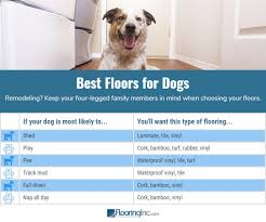 what s the best flooring for dogs