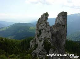 Muzeul prezinta fauna montana din zona dornelor si. Cazare Vila Irina Situata La Vatra Dornei Poiana Stampei In Judetul Suceava Vatra Dornei Bucovina