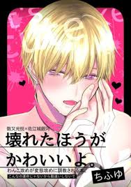 壊れたほうがかわいいよ | エロエロBLコミック大好き！
