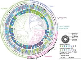 Epidermal stem cells (epscs) are a multipotent cell type and are committed to the formation and differentiation of the functional epidermis. Of Puzzles And Pavements A Quantitative Exploration Of Leaf Epidermal Cell Shape Vofely 2019 New Phytologist Wiley Online Library