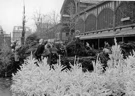 Robert Doisneau Les Halles Paris 1967 Le Choix Du Sapin De Noel Http Www Gettyimages Co Uk Detail Ne Robert Doisneau Belle Photo Photo Portrait