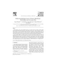 Image result for Pentas bussei