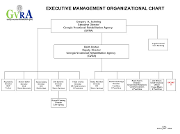 Georgia Vocational Rehabilitation Agency Organizational