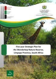 Image result for Ptycholobium plicatum