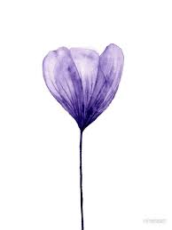 Collection by kathryn hunter • last updated 5 weeks ago. Purple Flower Greeting Card By Nina De Laat Purple Flowers Flower Aesthetic Flower Artwork