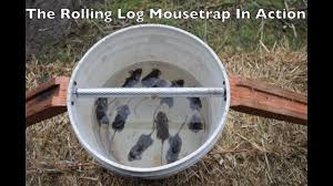 rolling log mouse trap