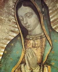 La iglesia Católica del Dios vivo, columna y fundamento de la verdad