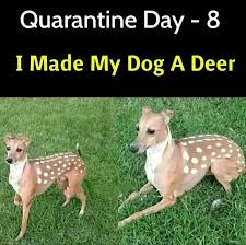Just The Horns That Are Missing R Memes Quarantine Day X Know Your Meme