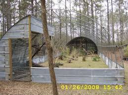 Outdoor Bird Aviary For Sale Nz Gbwf Org Forums View Topic Advice Wanted New Aviary Species Companions Backyard Animals Chickens Backyard Homestead Chickens