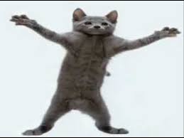 Dancing Cat Teach Me How To Dougie Youtube