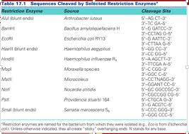 Learn vocabulary, terms and more with flashcards, games and other study tools. 33 Nutrition Label Worksheet Answer Key Quizlet Labels Design Ideas 2020