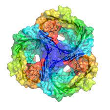 Zdenki kovačiček i silviju foretiću porin za životno djelo. Porin Protein Wikipedia