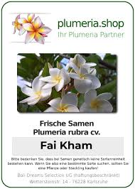 Exalting the worth of jesus christ among the unreached and unengaged at the end of the age. Plumeria Rubra Fai Kham Plumeria Shop Ihr Partner Fur Qualitativ Hochwertige Pflanzen Und Zubehor