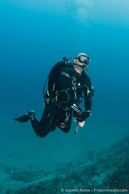 Image result for Sebaea junodii