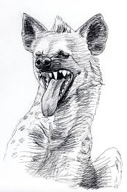 Spotted Hyena Grin By Silvercrossfox On Deviantart Hyena Tattoo Interesting Drawings Hyena