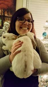Separating Holland Lop rabbit cages: adjoining mesh wall?