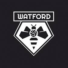 Fandom apps take your favorite fandoms with you and never miss a beat. New Corporate Image For Football Team Watford F C