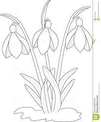 Snowdrops Drawing Flower Drawing Floral Art Design Embroidery Patterns