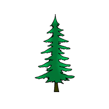 New users enjoy 60% off. How To Draw A Pine Tree Step By Step Easy Drawing Guides Drawing Howtos