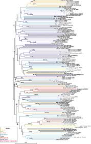 Image result for Cynanchum mulanjense