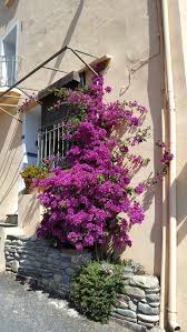 Aux Iris Gravas Gite A La Campagne Dans Un Village Catalan Fortifie Gite Maison De Vacances Gite Rural