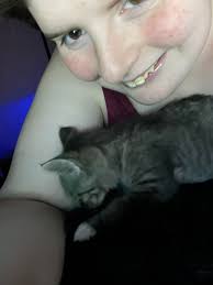 Cubby cat plays with toys at 9 years old