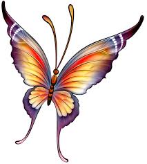 Gercek Boyutunu Gormek Icin Resme Tiklayiniz Butterfly Drawing Butterfly Pictures Butterfly Art