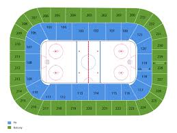 Greenville Swamp Rabbits Tickets At Bon Secours Wellness Arena On December 15 2019 At 3 05 Pm