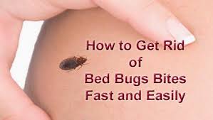 arbkan a hub of information where you can find about how to how to get rid how to make and how to remove rid of bed bugs bed bug bites bug