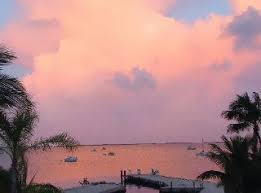The newly renovated bayside inn key largo is located on a beautiful stretch of the florida bay in the heart of key largo. Bayside Inn Key Largo