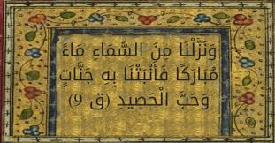 و ن ز ل ن ا م ن الس م اء م اء م ب ار ك ا ف أ ن ب ت ن ا ب ه ج ن ات و ح ب ال ح ص يد تفسير القرطبي ق 9