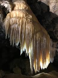 Image result for Chascanum