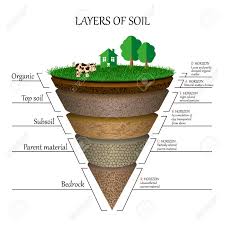 Soil Layers Diagram Wiring Diagram Soil Layers Earth Science Activities Earth Science Lessons