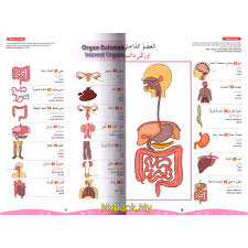 Anda akan belajar pemahaman bahasa melayu, tatabahasa, simpulan bahasa, peribahasa dan sebagainya dalam latihan yang diberi. Myb Book Dictionary Dictionary Dictionary Smart Pictures Soleh Arabic Jawi B Inggeris B Melayu Blue Telaga Shopee Singapore