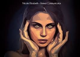 About Nicole & how it works