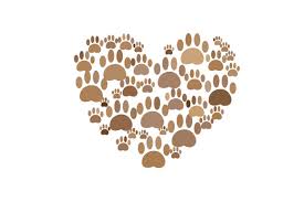 Heart Made Out Of Paw Prints Dog Design Svg Cut File By Creative Fabrica Crafts Creative Fabrica